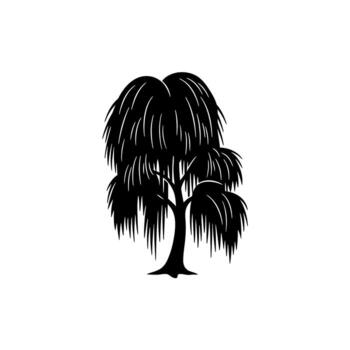 Silhouette of a Weeping Willow Tree with Cascading Branches. vector
