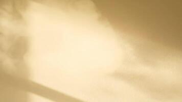 luz de sol y sombra patrones en un pared durante dorado hora video