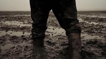 caminhando através lama apartamentos às baixo maré dentro norte Europa video