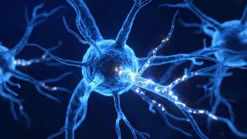 Animated Neuron Cell Shows Impulses Transmitting Through a Neural Network video