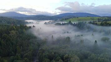 aéreo Visão do manhã névoa rolando sobre floresta e verde colinas dentro Polônia, criando calma, místico Visão do natureza depois de nascer do sol. video