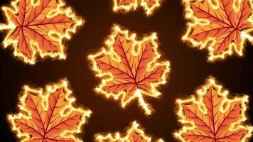 animato acero le foglie con raggiante bordi su un' buio sfondo creare un' autunno estetico modello video