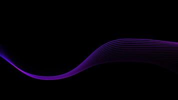 dynamisk lysande lila Vinka rader rör på sig mjukt tvärs över svart bakgrund i abstrakt rörelse design video