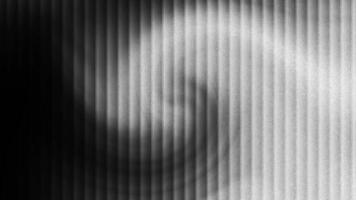 isto Preto e branco fundo animação retrata verticalmente listrado e texturizado janela persianas. video