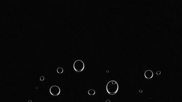 oscuro noche antecedentes con flotante jabón burbujas creando sutil ligero anillos en contra negro lona fondo. video