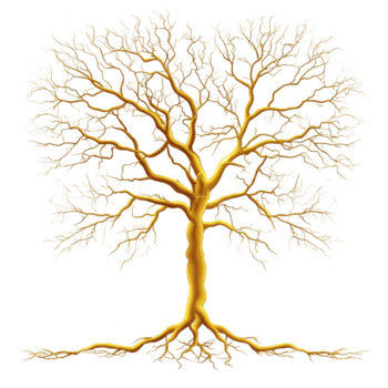 d'oro albero con intricato rami e radici sta su contro trasparenza sfondo, simboleggiante crescita e forza. luminoso design crea Impressionante e elegante visivo png