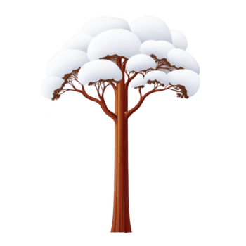 lång träd med smal trunk är täckt i fluffig vit snö, skapande lugn vinter- scen. grenar är elegant spridning, visa upp kontrast mellan mörk trä och ljus snö png