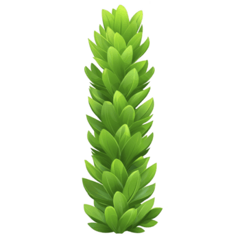 lång, vibrerande grön växt med skiktad löv anordnad i vertikal mönster, skapande frodig och färsk utseende. växt strukturera är symmetrisk och visuellt lockande png