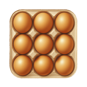 scatola di cartone di nove Marrone uova ordinatamente disposte nel piazza griglia, in mostra loro liscio struttura e naturale colore. uova siamo posto nel cartone vassoio, sottolineando semplicità e freschezza png