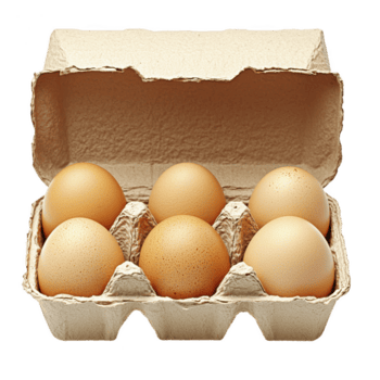 carton of six brown eggs is displayed in open cardboard container, showcasing their natural texture and color. eggs are neatly arranged, ready for cooking or baking png