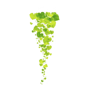 em cascata arranjo do vibrante verde folhas formulários natural, fluindo padronizar contra avião fundo, evocando sentido do tranquilidade e orgânico beleza png