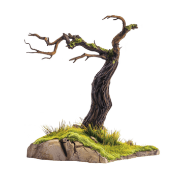 gnarled, leafless tree stands on small patch of grass and rocks, evoking sense of solitude and resilience. twisted branches and textured bark add to its ancient appearance png