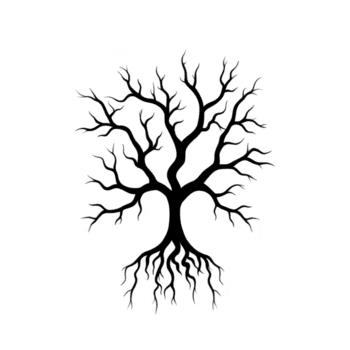 silhouette di albero con spoglio rami e visibile radici crea Impressionante e artistico design. intricato Rete di rami e radici simboleggia crescita e connessione png