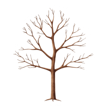 sans feuilles arbre avec complexe branches des stands contre plaine arrière-plan, mettant en valeur beauté de la nature simplicité et détaillé structure de ses membres png