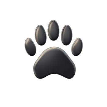 skinande svart Tass skriva ut med glansig Avsluta är avbildad mot transparent bakgrund, visa upp lekfull och söt design. Tass skriva ut består av fyra oval formad tår och större vaddera Nedan png