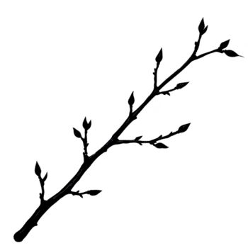 sencillo negro silueta de árbol rama con varios pequeño hojas, creando minimalista y natural diseño. rama es Delgado y delicado, agregando elegante toque png