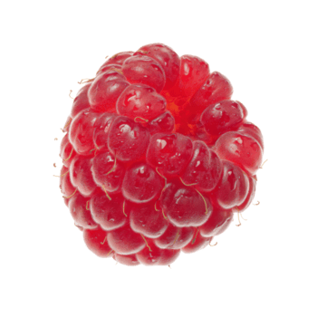 A single ripe red raspberry with a textured surface, isolated on a transparent background png