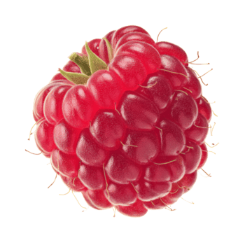A single ripe raspberry isolated on a transparent background, showing its intricate drupelet structure and bright red color png