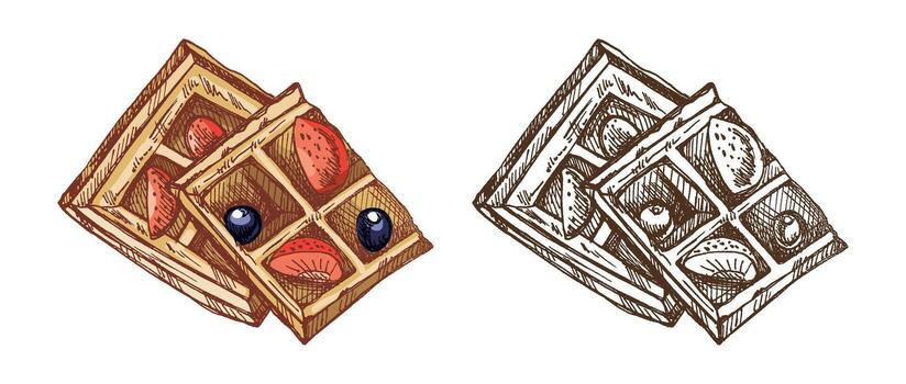 Hand drawn sketch of sweet waffles with strawberries and blueberries in color and monochrome version vector