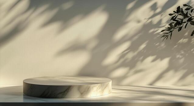 Bright Marble Surface Illuminated by Soft Shadows and Greenery in a Serene Indoor Setting. photo