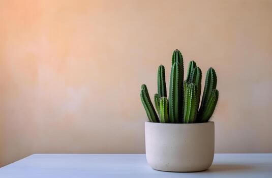 Cactus Growing in a Simple Pot Against a Plain Background in a Modern Setting. photo