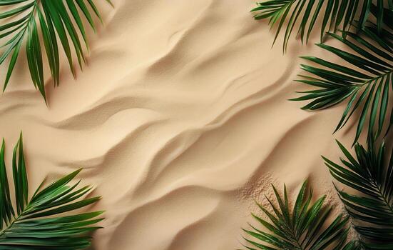 Sunlit Sandy Surface Framed by Palm Tree Shadows in a Tropical Setting. photo