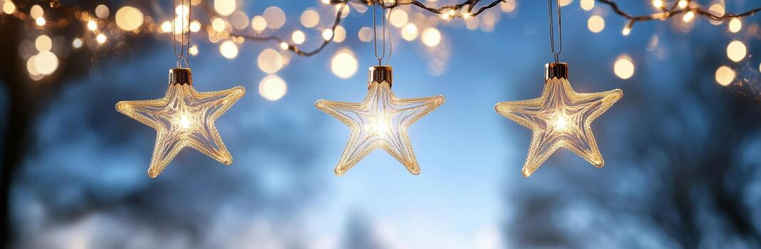 Glowing Star Ornaments Hanging From Branches During Evening Twilight photo
