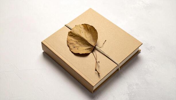Minimalist Overhead View of a Kraft Paper Notebook Tied with Twine and Decorated with a Dry Leaf photo