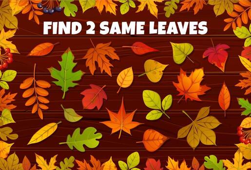 encontrar dos mismo otoño otoño temporada hojas, juego vector