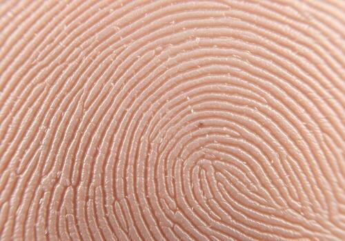 Detailed Fingerprint Macro Security Identity and Forensic Science Concept photo