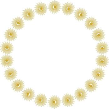 Star round frame. Sunburst explosion star. Template with empty space for your text vector