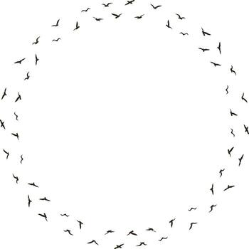 Silhouette of flying birds frame. Starling birds flock in the sky template. Frame with empty space vector