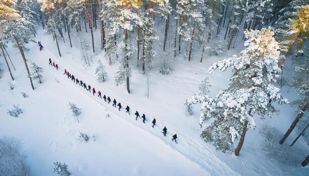 Bird's eye view captures group of people running through snowy forest during winter photo