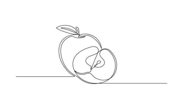 One line drawing of an apple. Minimalist continuous line art of a whole and half apple with a leaf vector