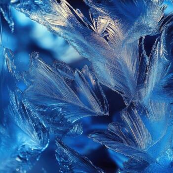 Intricate frost patterns create delicate feather formations against a blurry blue backdrop with shining texture photo