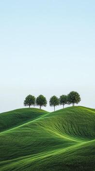 Verdant hills showcase a row of deciduous trees beneath a serene, cloudless blue sky photo