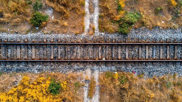 Top view of weathered wooden railway ties and ballast supporting steel rails amidst dry grass and yellow wildflowers photo