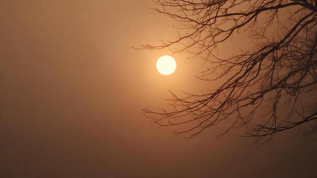 Bright orange sun setting behind dark silhouetted leafless tree branches in heavy haze photo