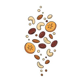 Abstract pattern of nuts and citrus slices vector