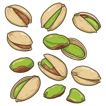 Illustration of pistachios with shells and nuts vector
