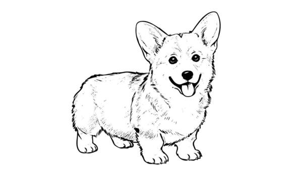 Cute corgi sketch with playful expression and big ears vector