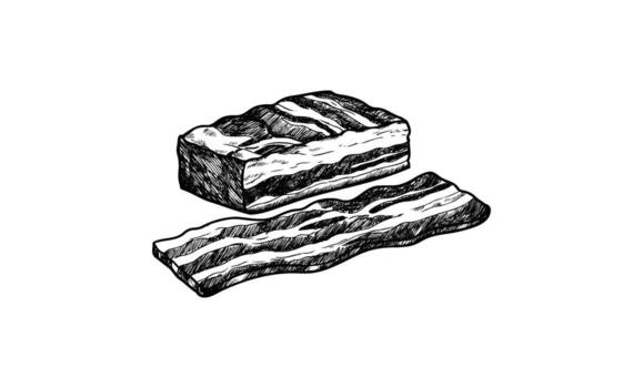 Sketch of bacon and bacon slice in black ink vector