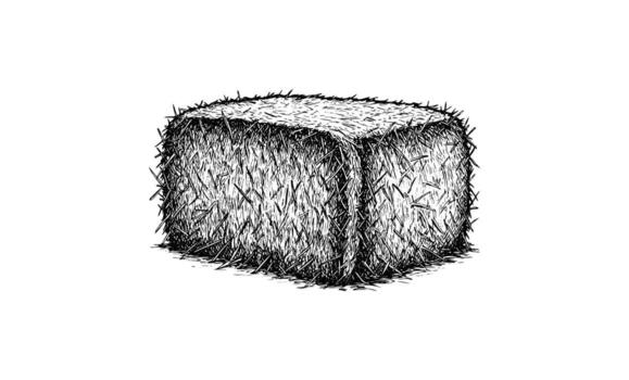 Detailed sketch of a rectangular bale of hay with textured straw vector