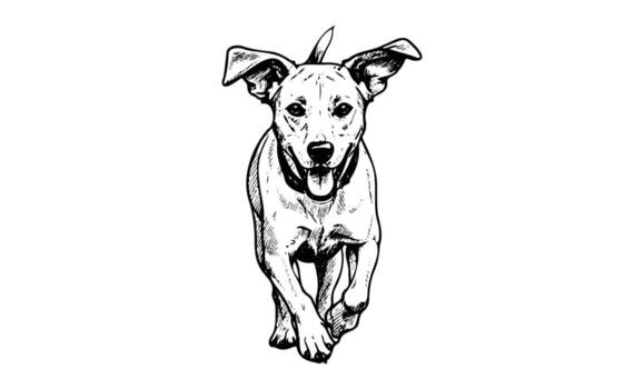 Lively sketch of a running dog with floppy ears and happy expression vector