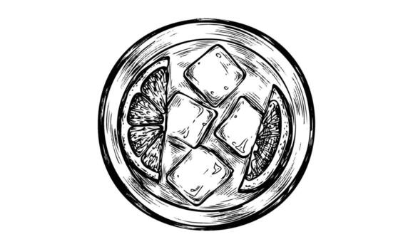 Top view pencil sketch of lemon slices and ice cubes in a glass vector