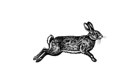 Ink drawing of a rabbit in motion with detailed fur and dynamic pose vector
