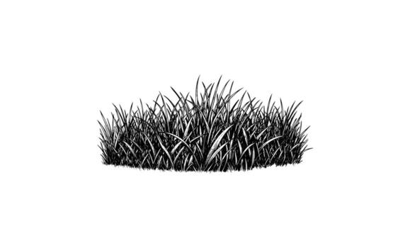 Lush patch of grass illustration with natural texture and sharp details vector