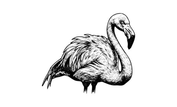 Intricate black and white flamingo sketch with detailed feather patterns vector