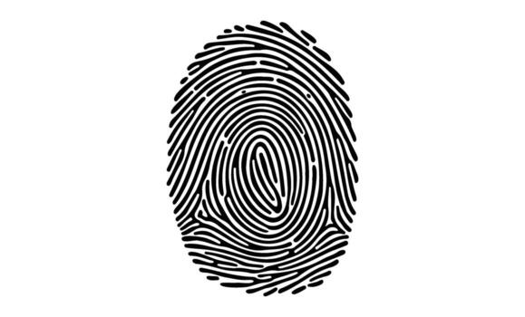 detallado negro huella dactilar modelo con intrincado líneas y remolinos vector