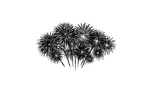 Silhouette of exploding fireworks in night sky with radiant patterns vector